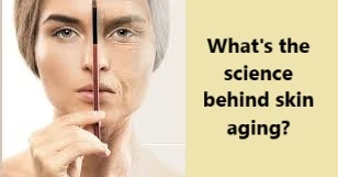 What's the science behind skin aging?